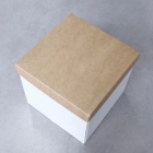 Коробка упаковочная с крафт крышкой 20х20х10 см.