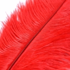 Щекоталка из страусиного пера красная 400 мм.