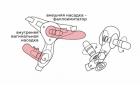 Фаллоимитатор неоскин с поясом Harness (L=17 см, D=3,5 см)